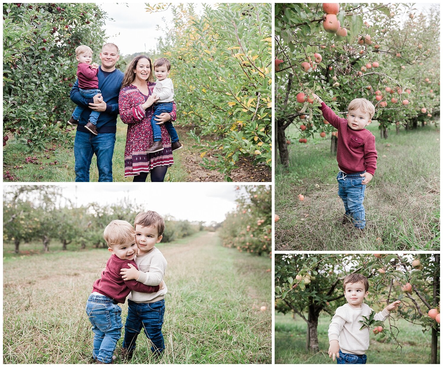 A family of four at a fall mini session in Cleveland, Tennessee at an apple farm