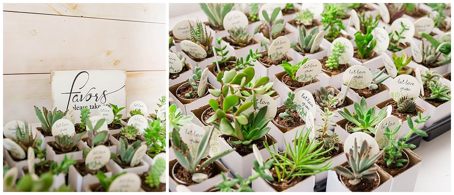 succulent wedding guest favors in Chattanooga