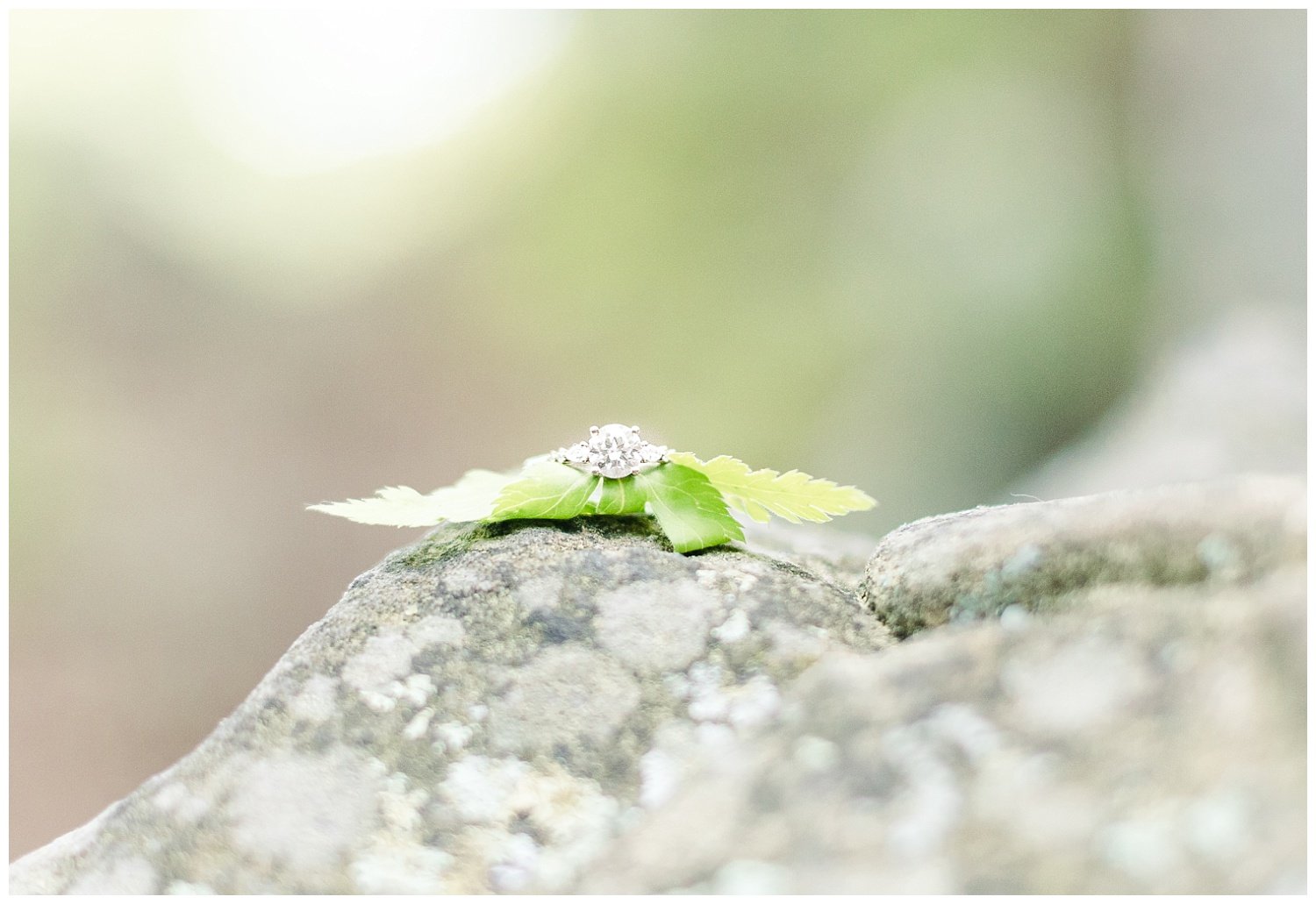 ring sitting on a leaf on a rock at Glen Falls Trail