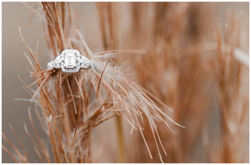 engagement ring sitting on brown grass in Chattanooga