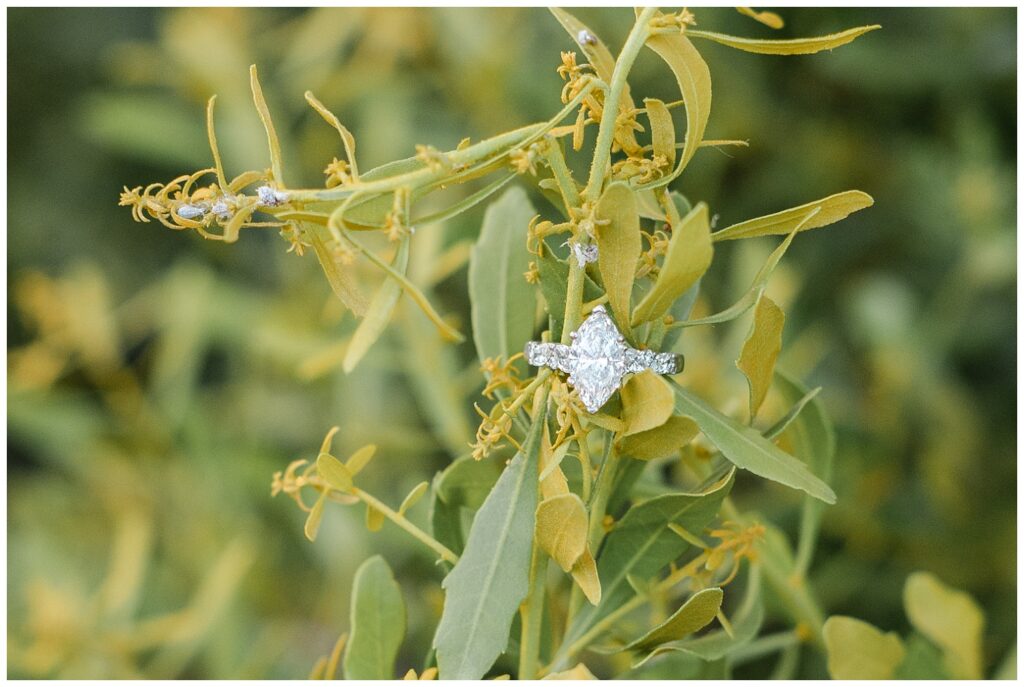 diamond engagement ring on a yellow and green plant at the Hunter Museum